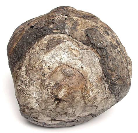 ambra grigia di chanel